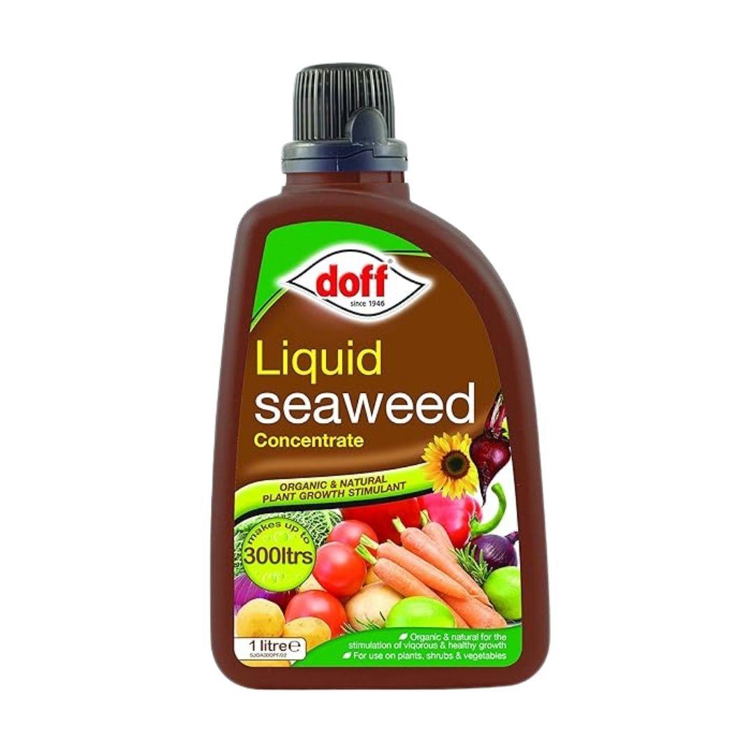 Doff Liquid Seaweed Concentrated Multi-Purpose Feed 1L | Daily Supplies