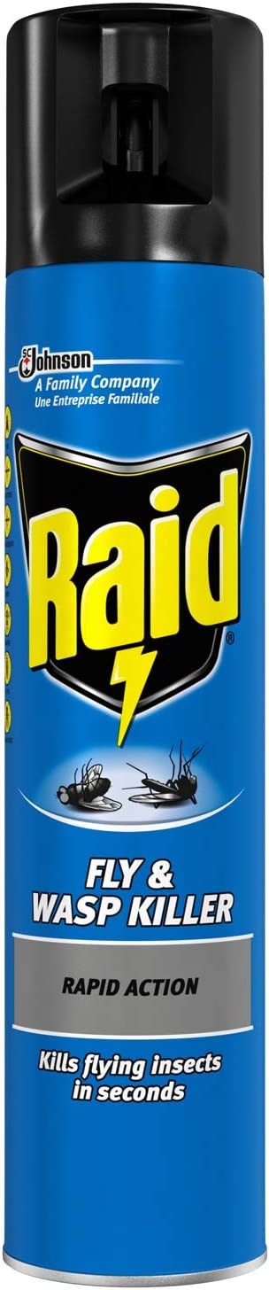 Raid Fly and Wasp Killer 300ml | Daily Supplies