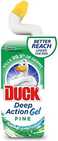 Duck 5In1 Liquid Fresh Pine 750ml - Best toilet cleaner | Daily Supplies