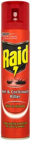 Raid Ant & Cockroach Killer Spray 300ML | Daily Supplies