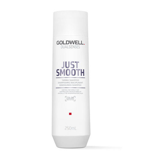 Goldwell Dualsenses Just Smooth Taming Shampoo 250ml | Daily Supplies